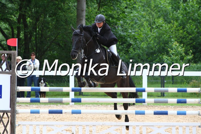 006M7833_Spring M.JPG